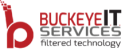 Logo of Buckeye IT Services, LLC.