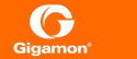 Logo of Gigamon