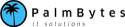 Logo of Palmbytes