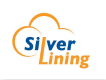 Logo of Silver Lining Information Technology Co., Ltd.