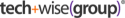 Logo of TechWise Group