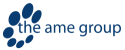 Logo of The AME Group