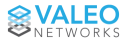 Logo of Valeo Networks Inc.