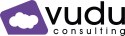 Logo of Vudu Consulting